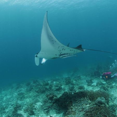 Waisai Coriana Dive Resort מראה חיצוני תמונה