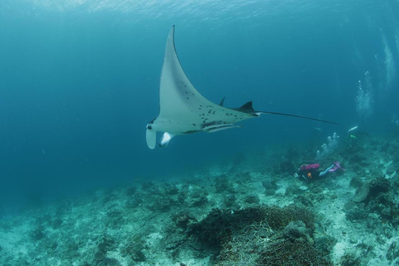 Waisai Coriana Dive Resort מראה חיצוני תמונה