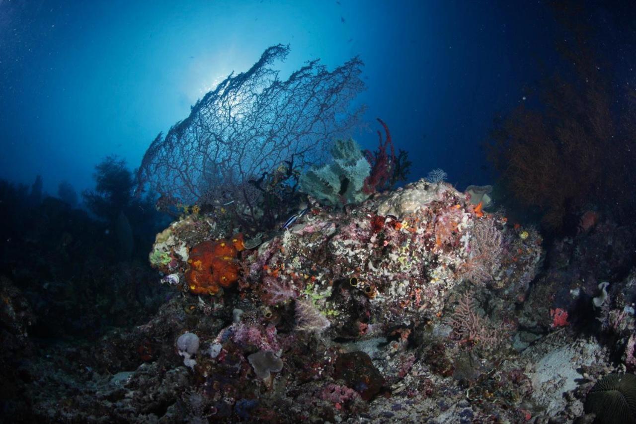 Waisai Coriana Dive Resort מראה חיצוני תמונה