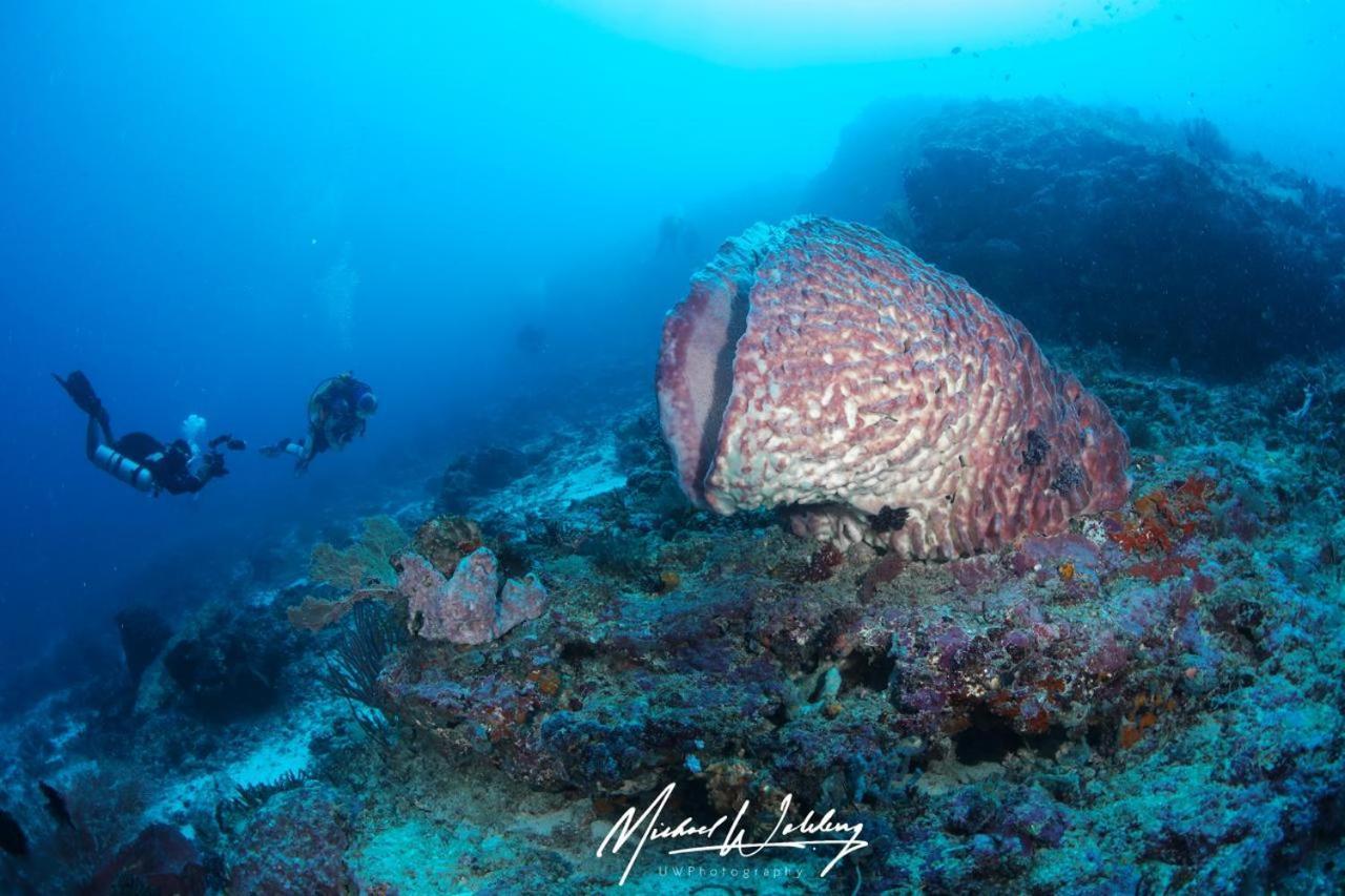 Waisai Coriana Dive Resort מראה חיצוני תמונה
